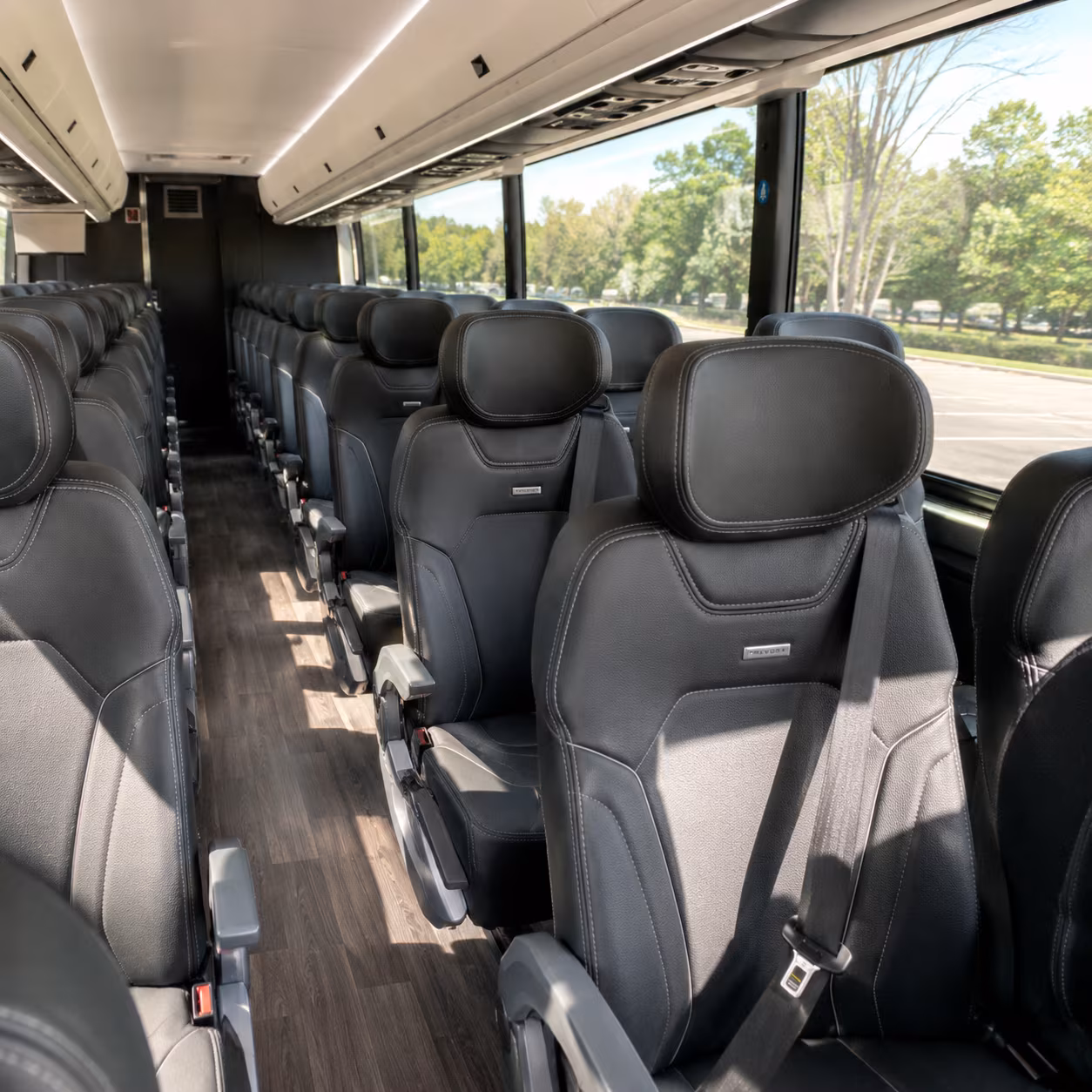 secure transportation for your next bachelor or bachelorette party 5